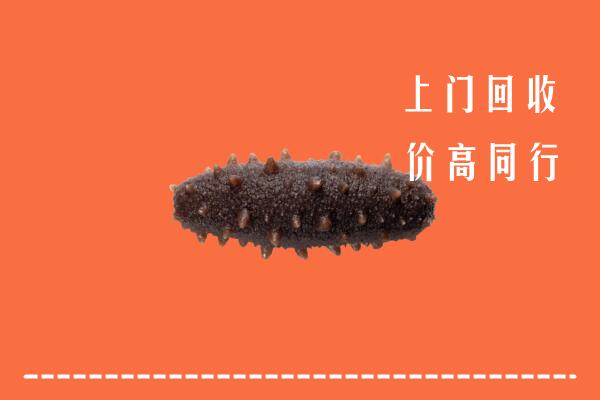 高价求购：昭觉县回收海参