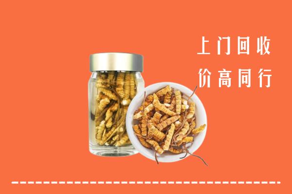 昭觉县回收冬虫夏草